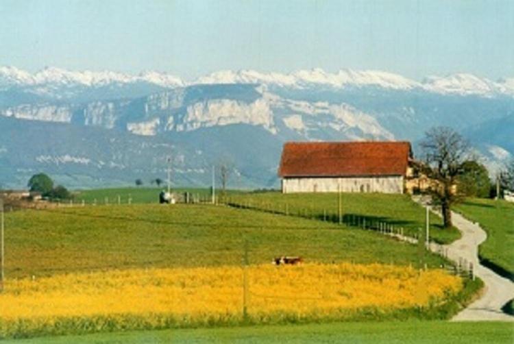 Saint-Antoine  Gite La Grange Du Haut מראה חיצוני תמונה